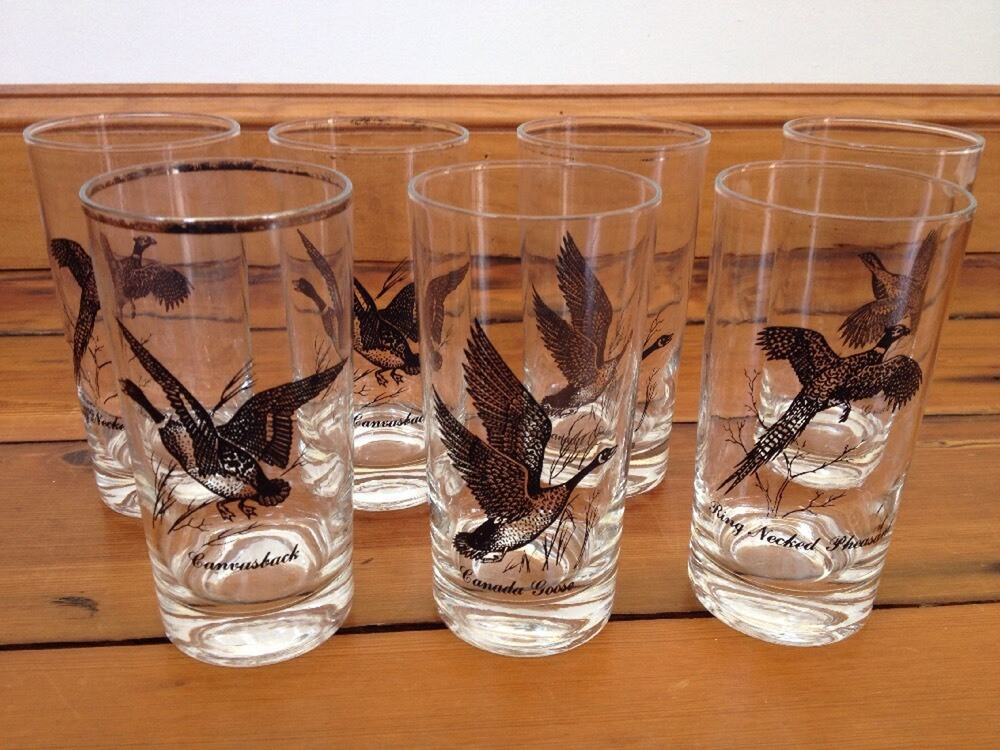 Vtg Fowl Hunt High Ball Glasses Game Birds Pheasant Goose Canvasback Duck Grouse